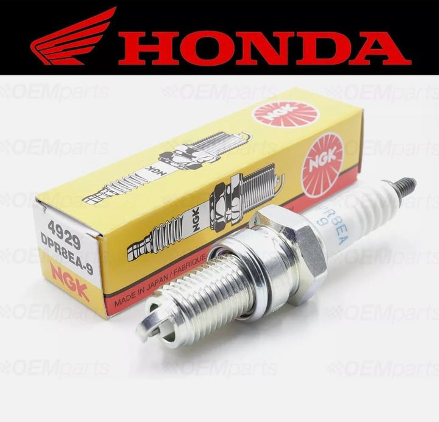 NGK Spark Plug